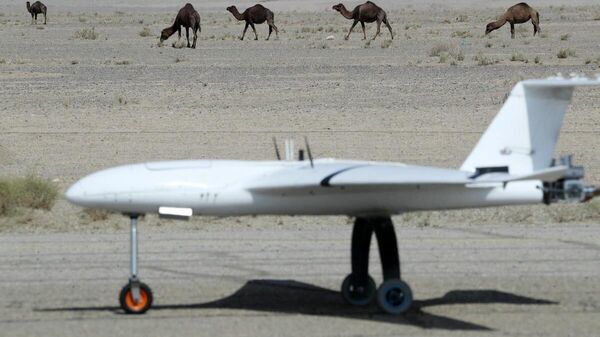 Drone é visto durante exercício nacional de drones da Força Aérea iraniana, centrado na província de Semnan, Irã, 3 de outubro de 2023 - Sputnik Brasil
