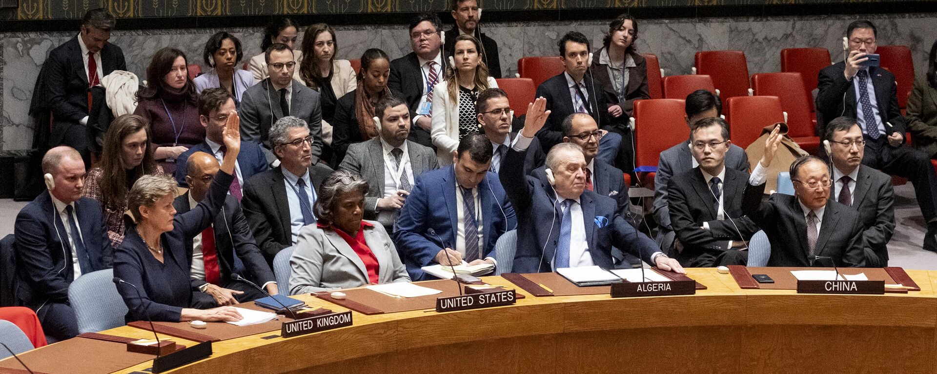 Momento em que Linda Thomas-Greenfield, embaixadora dos Estados Unidos na Organização das Nações Unidas (ONU), é a única a não aprovar a resolução de cessar-fogo na Faixa de Gaza, em 25 de março de 2024 - Sputnik Brasil, 1920, 17.04.2024