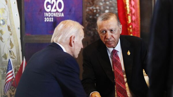 O presidente dos EUA, Joe Biden (de costas), fala com o presidente turco, Recep Tayyip Erdogan, durante reunião como parte da cúpula do G20 em Nusa Dua, na ilha indonésia de Bali, em 15 de novembro de 2022 - Sputnik Brasil