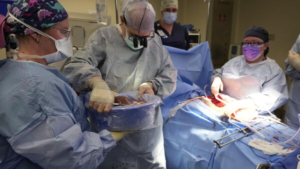 Transplante de fígado de um doador de órgãos realizado em um hospital em Jackson, Tennessee. EUA, junho de 2023 - Sputnik Brasil