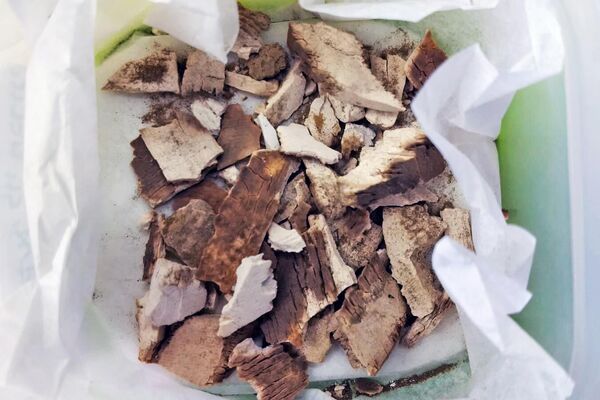 Fragmentos de um vaso de marfim descobertos perto de Beersheba antes da restauração pela Autoridade de Antiguidades de Israel - Sputnik Brasil