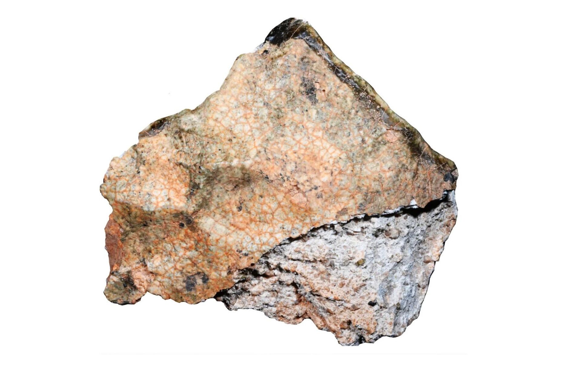 O meteorito que foi encontrado na Argélia e posteriormente vendido a um comprador chinês - Sputnik Brasil, 1920, 10.04.2024