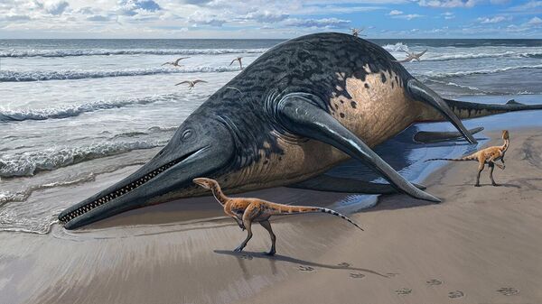 Imagem ilustrativa de um ictiossauro do tamanho de uma baleia - Sputnik Brasil