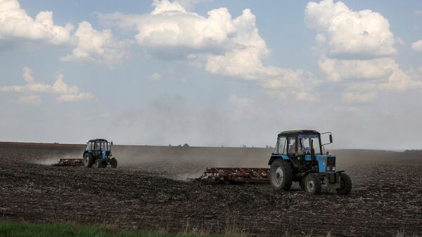 Agricultores cultivam um campo na região de Donetsk, em 12 de abril de 2024 - Sputnik Brasil