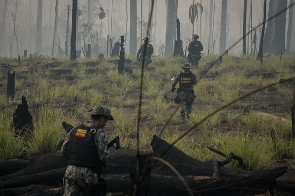 Agentes das forças de segurança participam de operação de fiscalização na Floresta Nacional do Jamanxim - Sputnik Brasil