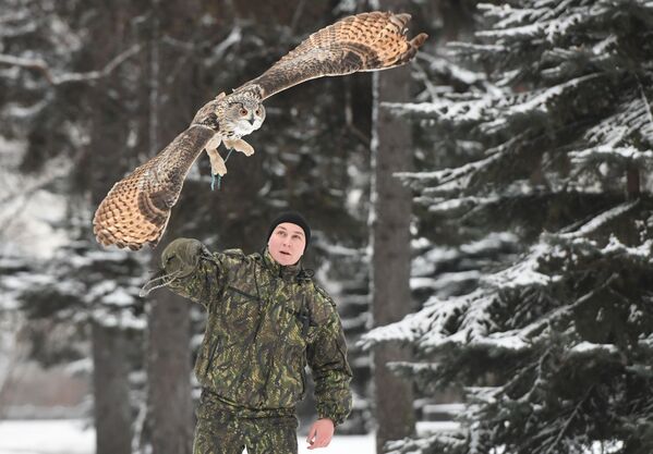 Funcionário do serviço ornitológico do Kremlin com uma coruja - Sputnik Brasil