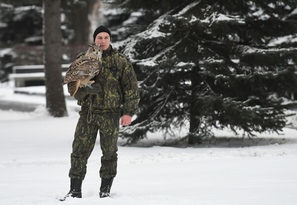 Funcionário do serviço ornitológico do Kremlin com uma coruja - Sputnik Brasil