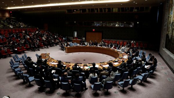 Sessão do Conselho de Segurança da ONU - Sputnik Brasil