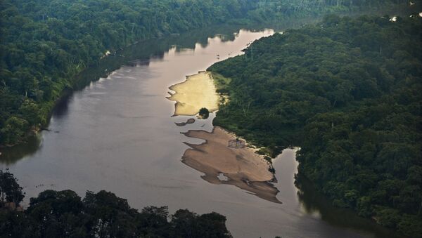 Desde que foi criado em 2008, Fundo Amazônia já financiou 93 projetos de preservação - Sputnik Brasil