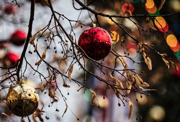 Adornos natalinos em uma árvore em parque de Moscou - Sputnik Brasil