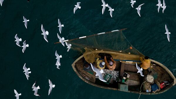 Pescadores (imagem ilustrativa) - Sputnik Brasil