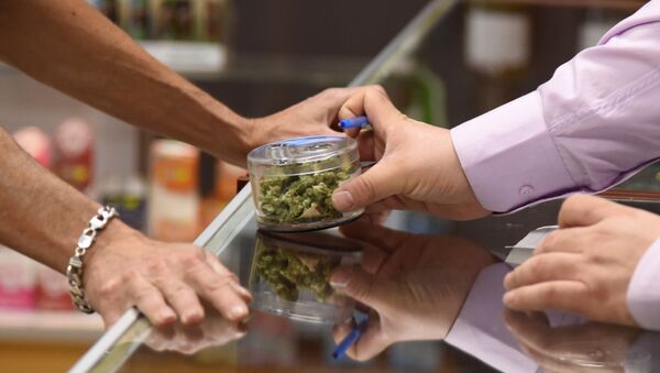 Vendedor mostra marijuana em caixa ao comprador no primeiro dia de venda, Califórnia, EUA - Sputnik Brasil