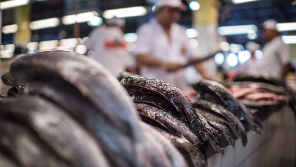 Indústria da pesca gera 4 mil empregos e fatura US$ 62 milhões por ano - Sputnik Brasil