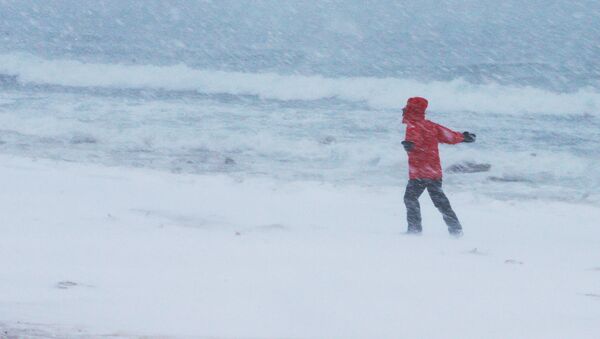 Homem passeia ao longo da costa durante tempestade de neve, imagem referencial - Sputnik Brasil