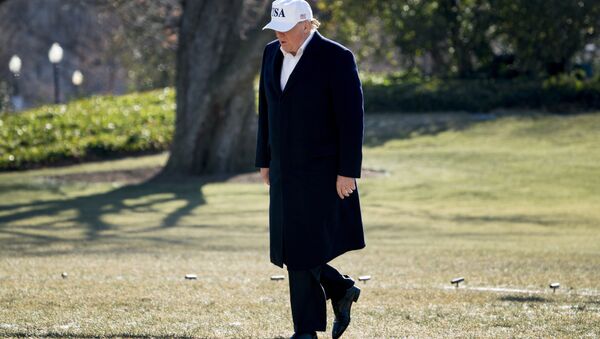 President Donald Trump walks across the South Lawn as he arrives at the White House in Washington, Sunday, Jan. 7, 2018, after traveling from Camp David, Md. - Sputnik Brasil