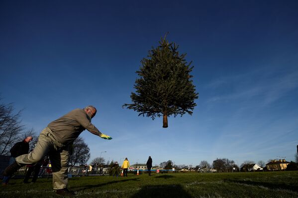 Competições de lançamento de árvores de Natal na Irlanda - Sputnik Brasil