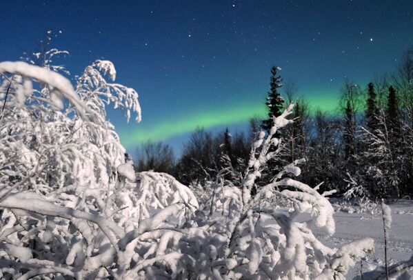 Aurora boreal nos arredores do povoado Lovozero, na região russa de Murmansk - Sputnik Brasil