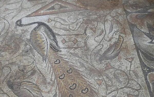 Exército sírio descobre antigos mosaicos bizantinos em Hama - Sputnik Brasil