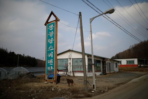 Local de aluguel de equipamentos no resort Alps Ski, situado perto da zona desmilitarizada que separa as duas Coreias, na cidade sul-coreana de Goseong - Sputnik Brasil