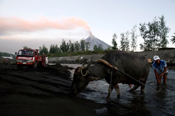 Residente local com búfalo junto ao rio, enquanto vulcão Mayon entra em erupção em Guniobatan, nas Filipinas - Sputnik Brasil