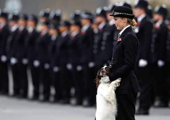 Uma agente da polícia junto com seu cachorro durante o desfile dos graduados da Academia da Polícia Metropolitana, em Londres, em 3 de novembro de 2017 - Sputnik Brasil