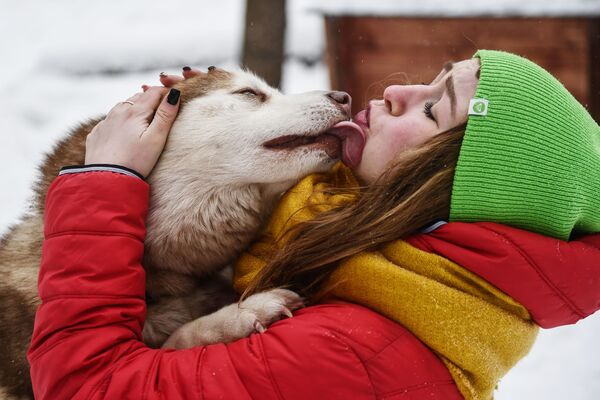 Garota brinca com cachorro de raça husky no parque Sokolniki, em Moscou - Sputnik Brasil