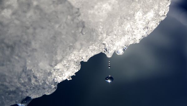 Uma gota de água caindo de um iceberg na Groenlândia - Sputnik Brasil