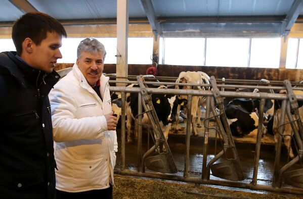 Pavel Grudinin visita granja leiteira no povoado do Sovkhoz Lenin na região de Moscou - Sputnik Brasil