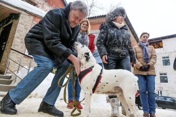 Candidato à Presidência da Rússia pelo partido Yabloko, Grigory Yavlinsky, visita asilo para cachorros sem teto - Sputnik Brasil