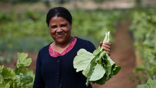 Uma mulher segura um maço de verduras produzidas e horta comunitária no Paraná em novembro de 2016. - Sputnik Brasil