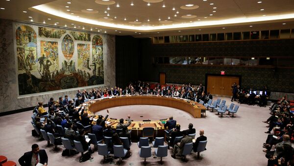 Membros do Conselho de Segurança da ONU na sede da organização em Nova York - Sputnik Brasil