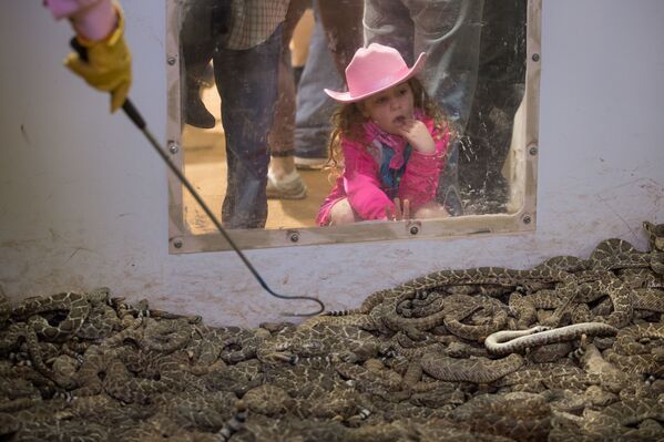 Menina olha para serpentes expostas no âmbito do festival e exibição anual de cobras na cidade de Sweetwater, Texas - Sputnik Brasil