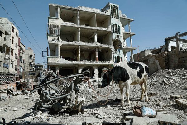 Prédio destruído em Douma, Ghouta Oriental, Síria - Sputnik Brasil