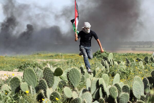 Manifestante palestino em campo de cactos durante confrontos com forças israelenses - Sputnik Brasil