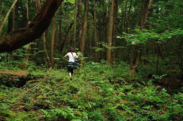 O bosque de Aokigahara, também conhecido como Mar de Árvores, localiza-se na base noroeste do monte Fuji, no Japão. As árvores no bosque crescem tão densamente que nele não pode entrar luz solar, enchendo a floresta com escuridão e silêncio assustadores. Há décadas, o lugar misterioso tem a triste fama de atrair suicidas - Sputnik Brasil