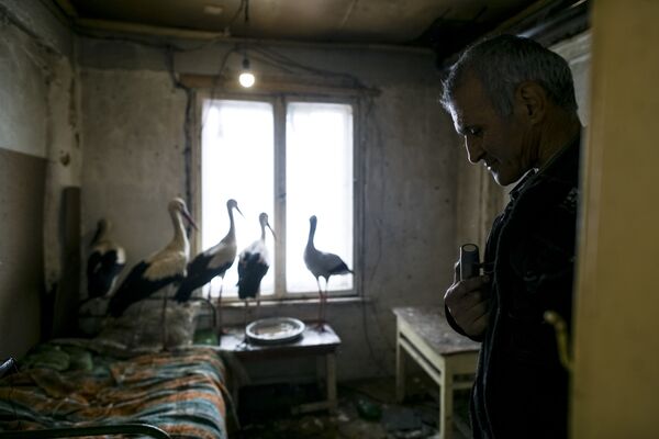 Safet Halil, que salvou cinco cegonhas de morrerem no frio na aldeia de Zaritsa, na Bulgária. - Sputnik Brasil