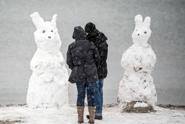 Casal junto de dois coelhos de neve na ilha de Fehmarn, no norte da Alemanha - Sputnik Brasil