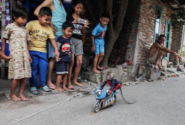 Macaco de moto infantil passa em frente de crianças na Indonésia - Sputnik Brasil