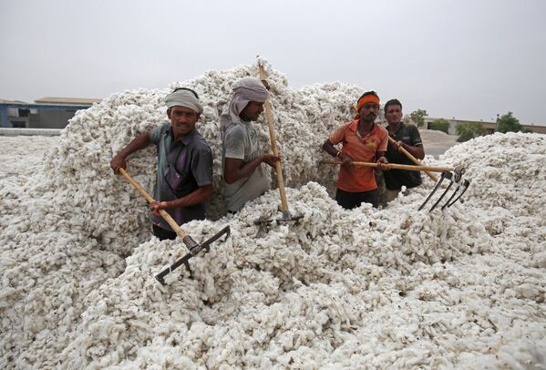 Trabalhadores descarregam algodão de um caminhão na cidade indiana de Kadi - Sputnik Brasil
