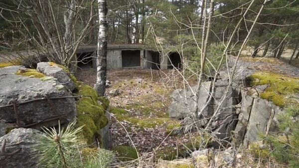 Bunker nazista na floresta em Neringa, na Lituânia - Sputnik Brasil