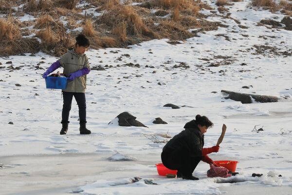 Norte-coreanos captados no rio gelado Yalu a partir da parte chinesa da fronteira - Sputnik Brasil