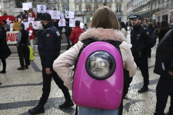 Menina com gato dentro da mochila assiste a uma manifestação em apoio a Lula, em Lisboa - Sputnik Brasil