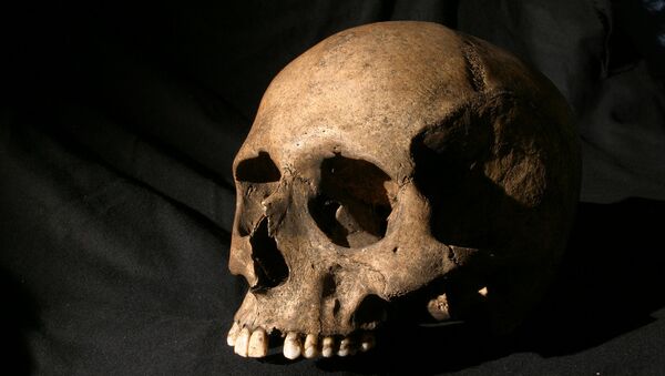 Crânio humano (imagem ilustrativa) - Sputnik Brasil