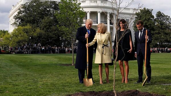 Trump e Macron plantando árvore no jardim da Casa Branca. - Sputnik Brasil