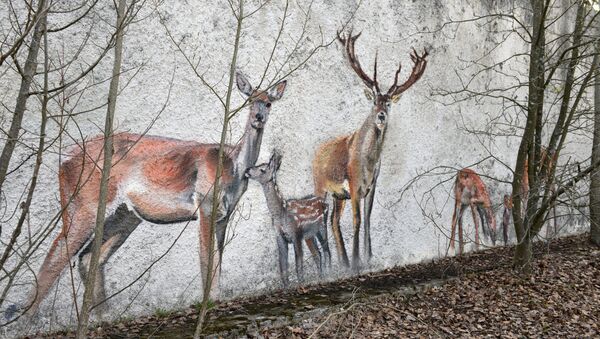 Pinturas na parede de um edifício abandonado na área da Usina Nuclear de Chernobyl - Sputnik Brasil