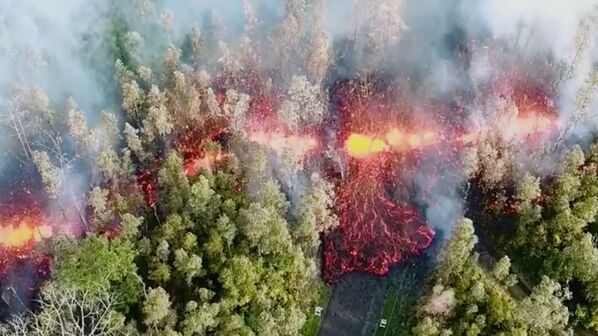 Lava surge na floresta depois da erupção do vulcão Kilauea, no Havaí - Sputnik Brasil