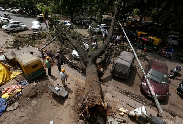 Operários municipais serram os ramos de uma árvore arrancada após uma tempestade em Nova Deli, na Índia - Sputnik Brasil