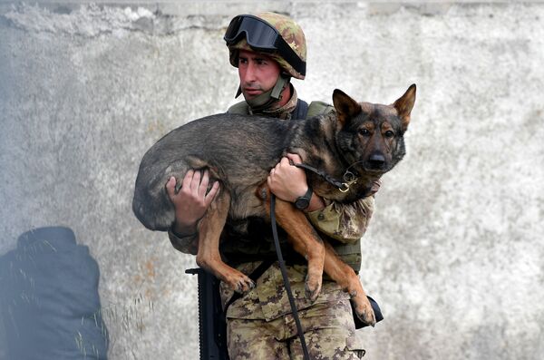 Durante exercício militar em campo de treinamento em Cesano, nas proximidades de Roma, soldado do exército italiano segura seu cão, em 21 de maio de 2018 - Sputnik Brasil