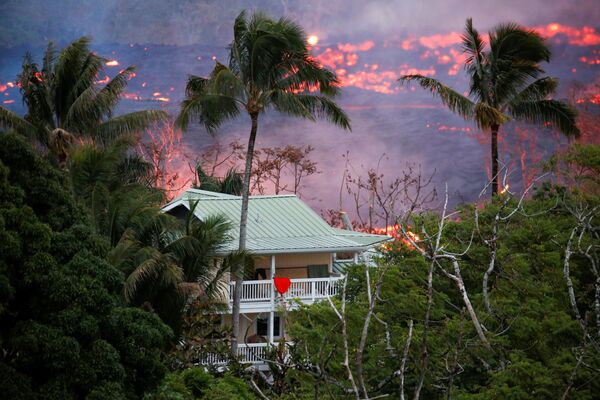 Fluxos de lava perto de uma casa nos arredores de Pahoa durante erupção do vulcão Kilauea, no Havaí - Sputnik Brasil