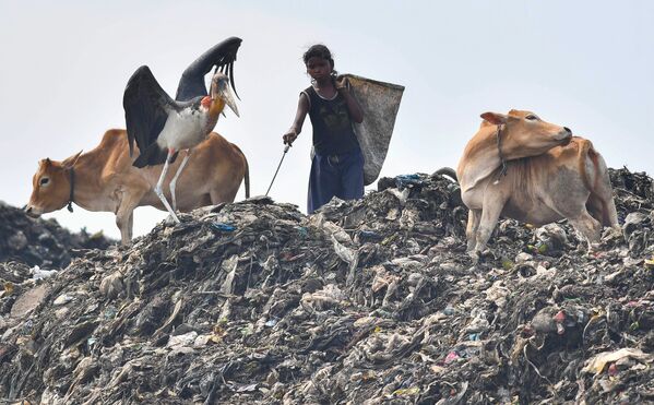 Criança buscando itens recicláveis em um dos maiores lixões do nordeste indiano na região de Guwahati, Índia. - Sputnik Brasil